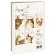 Kortset Katter Lovely Day